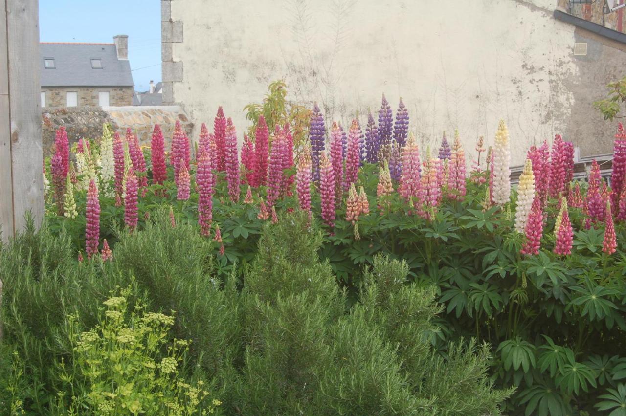 L'Abri Du Sillon Bed & Breakfast Pleubian Eksteriør bilde